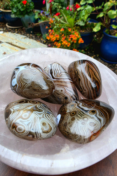 One of a Kind Sardonyx Palm Stone Meditation Set with Selenite Bowl
