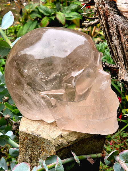 One of a Kind Smoky Quartz Skull
