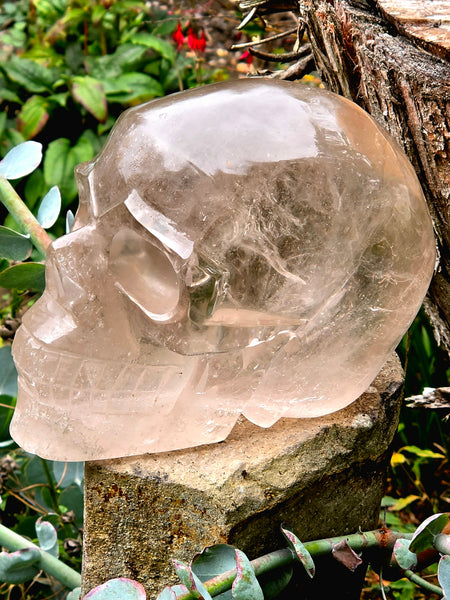 One of a Kind Smoky Quartz Skull