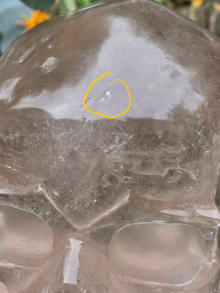 One of a Kind Smoky Quartz Skull