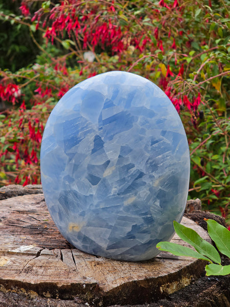 Blue Calcite Free Form