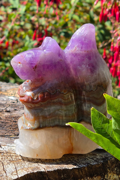 Mexican Amethyst Agate Squirrel