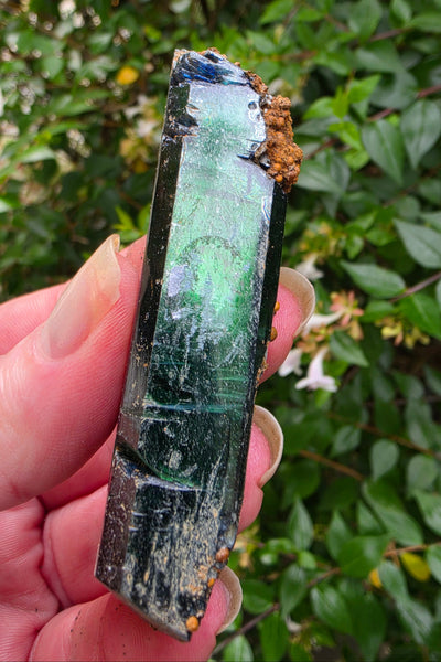 Raw Vivianite