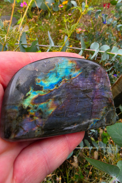 Labradorite Free Form - One of a Kind