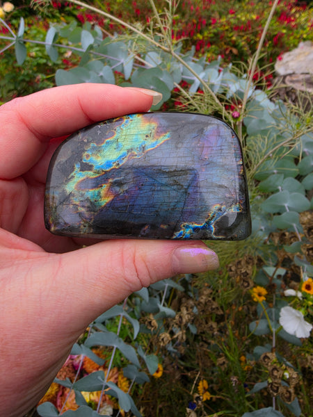 Labradorite Free Form - One of a Kind