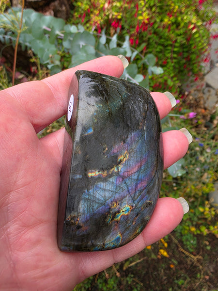 Labradorite Free Form - One of a Kind