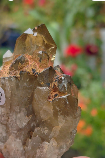 Kundalini Citrine / Smoky Quartz  FREE - LIMIT ONE PER CUSTOMER