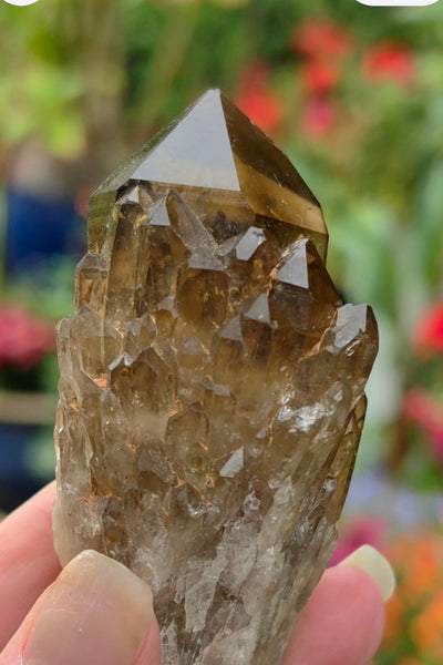 Kundalini Citrine / Smoky Quartz  FREE - LIMIT ONE PER CUSTOMER