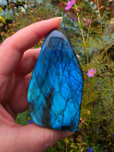 Labradorite Free Form - One of a Kind