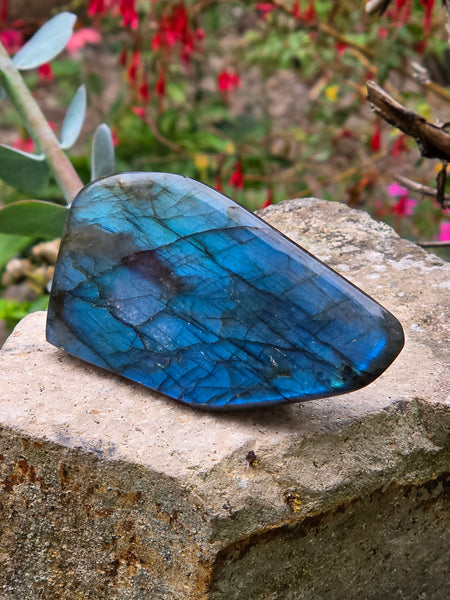 Labradorite Free Form - One of a Kind