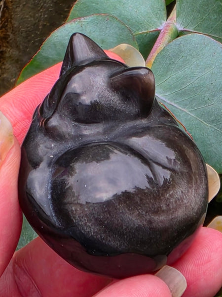 Silver Sheen Obsidian Sleeping Kitty