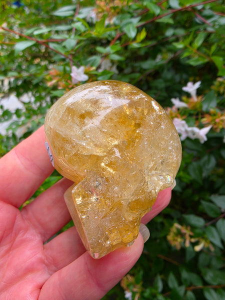 Rainbow Citrine Skull - One of a Kind