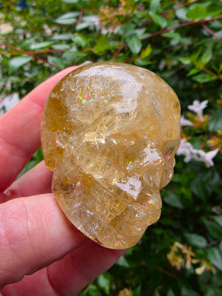 Rainbow Citrine Skull - One of a Kind