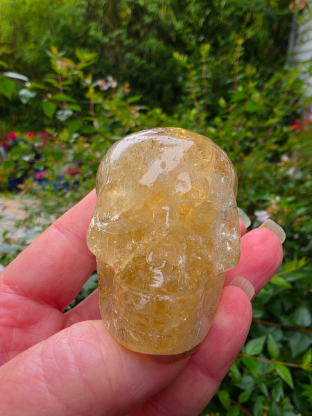 Rainbow Citrine Skull - One of a Kind
