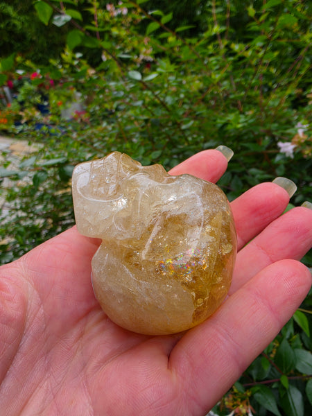 Rainbow Citrine Skull - One of a Kind