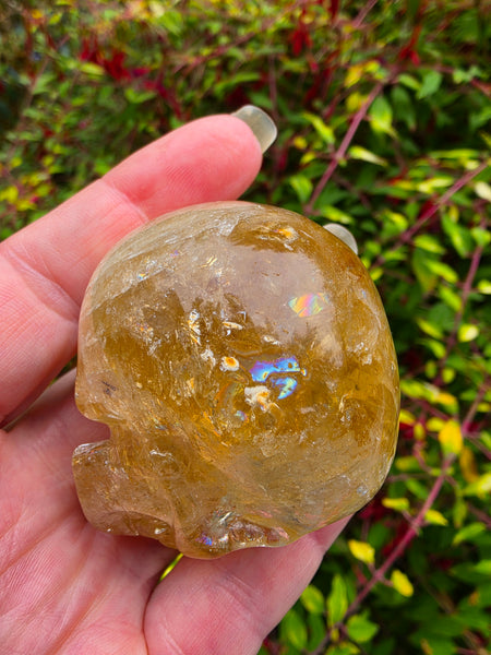 Rainbow Citrine Skull - One of a Kind