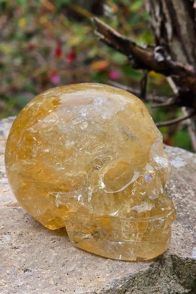 Rainbow Citrine Skull - One of a Kind