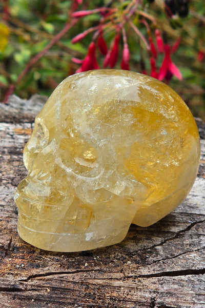 Rainbow Citrine Skull - One of a Kind