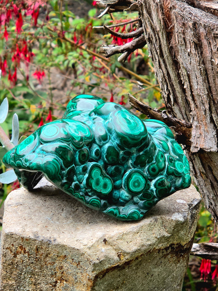 Malachite Free Form - One of a Kind