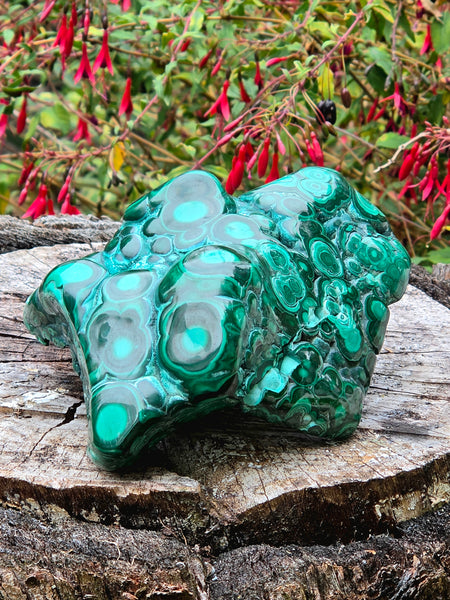 Malachite Free Form - One of a Kind