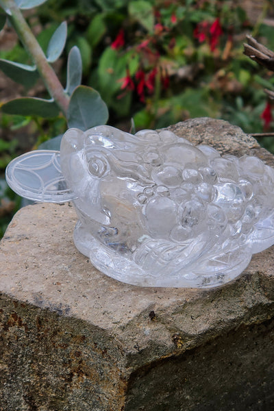 Rainbow Clear Quartz Money Toad — One of a Kind