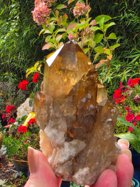 Kundalini Citrine / Smoky Quartz  FREE - LIMIT ONE PER CUSTOMER