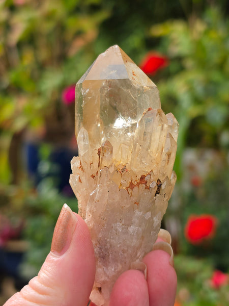Kundalini Citrine / Smoky Quartz  FREE - LIMIT ONE PER CUSTOMER