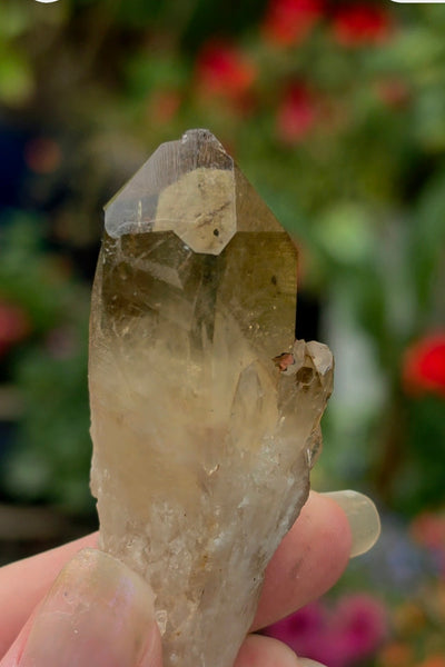 Kundalini Citrine / Smoky Quartz  FREE - LIMIT ONE PER CUSTOMER