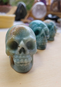 Caribbean Calcite Skulls