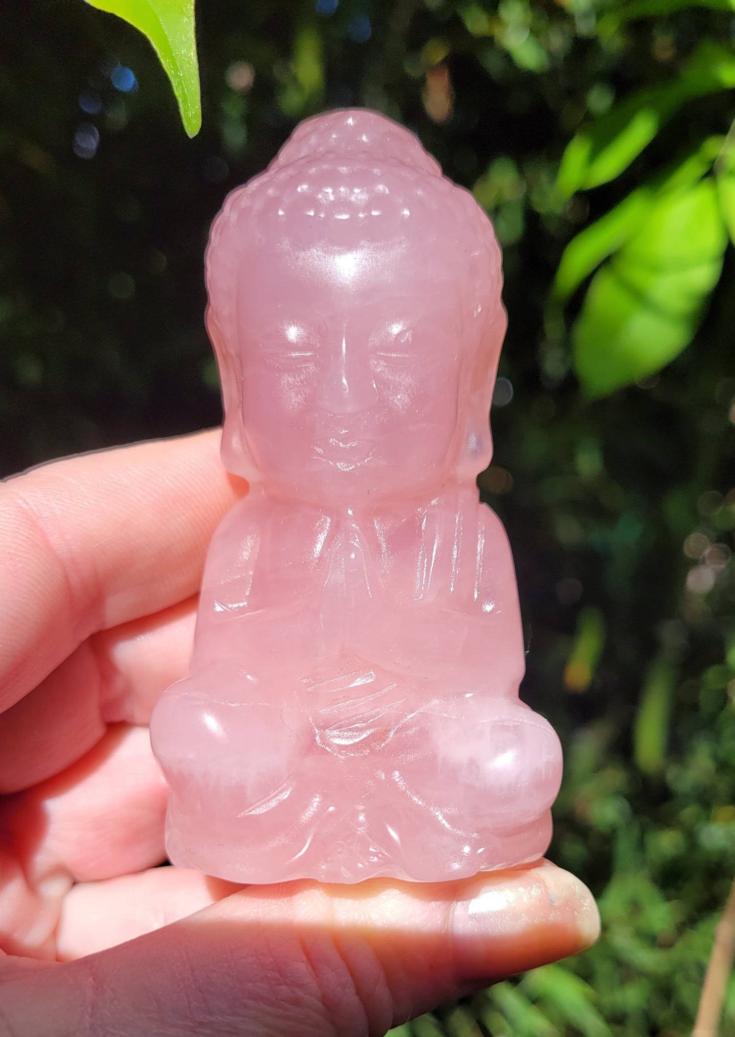 Rose Quartz Buddha