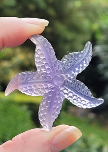 Purple Fluorite Starfish/Sea Star