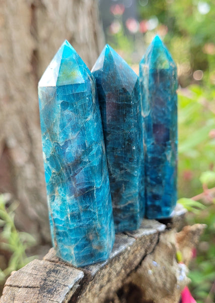 Apatite Points
