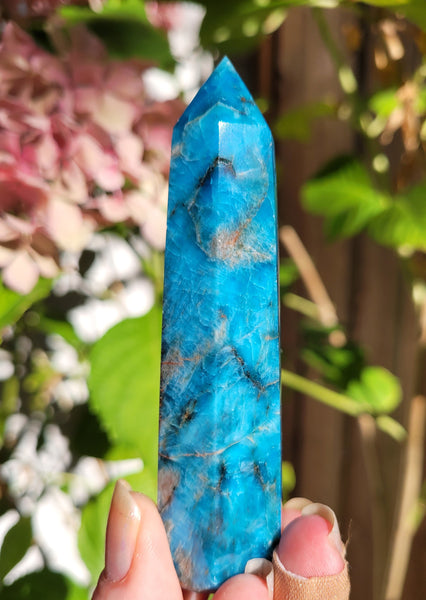 Apatite Points