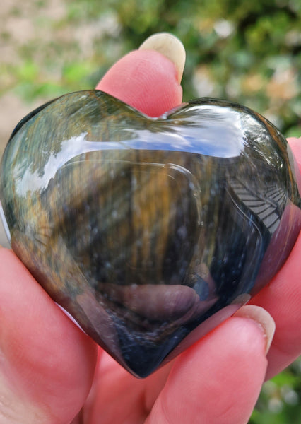Blue Tigers Eye Hearts