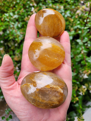 Golden Healer Palm Stones