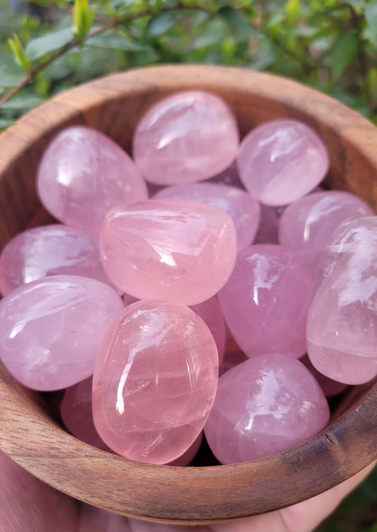 Rose Quartz Tumbles