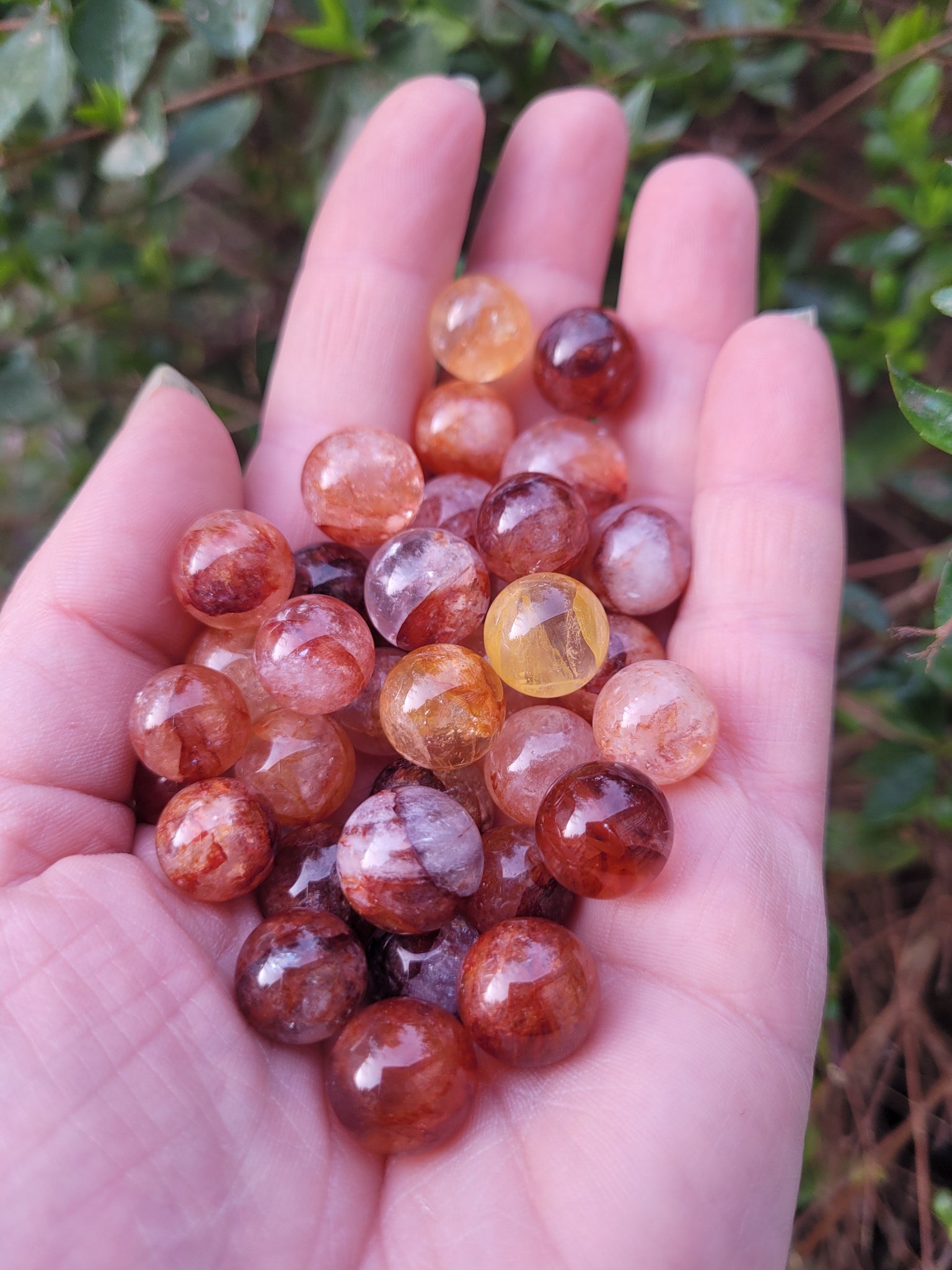 Red & Golden Healer Mini Spheres