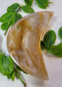 Golden Healer Moon Dish