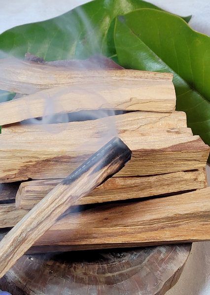 Palo Santo Sacred Wood / Incense